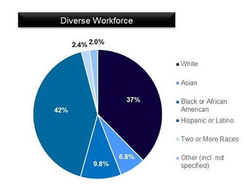 Diverse Workforce